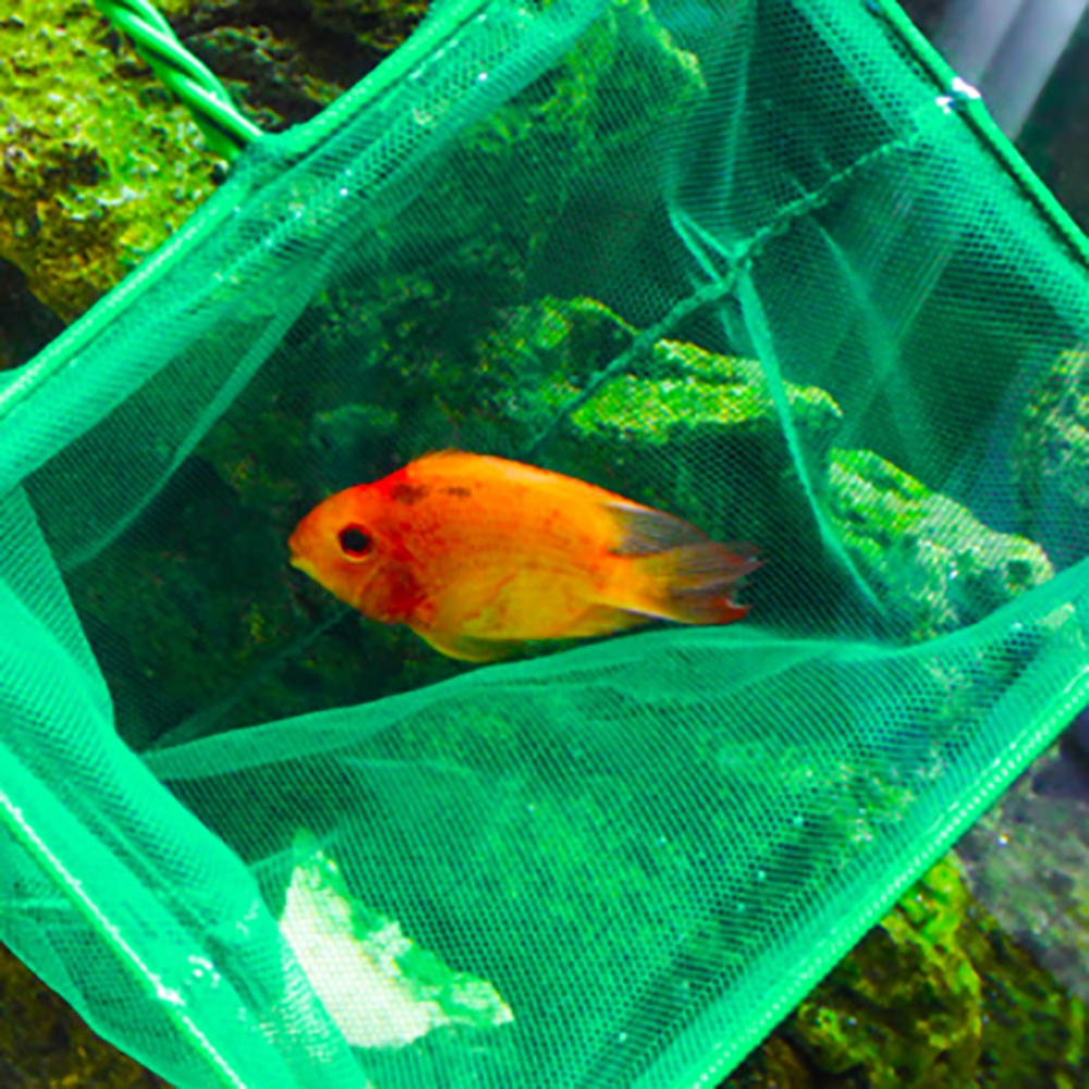 310" Aquarium Fish Net for Fish Tank Fresh/Tropical Water Aquarium